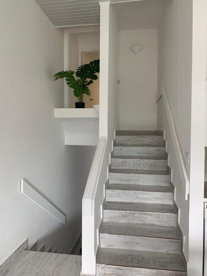 Appartement Neuf En Plein Coeur De Philipsburg Philipsburg  Eksteriør billede