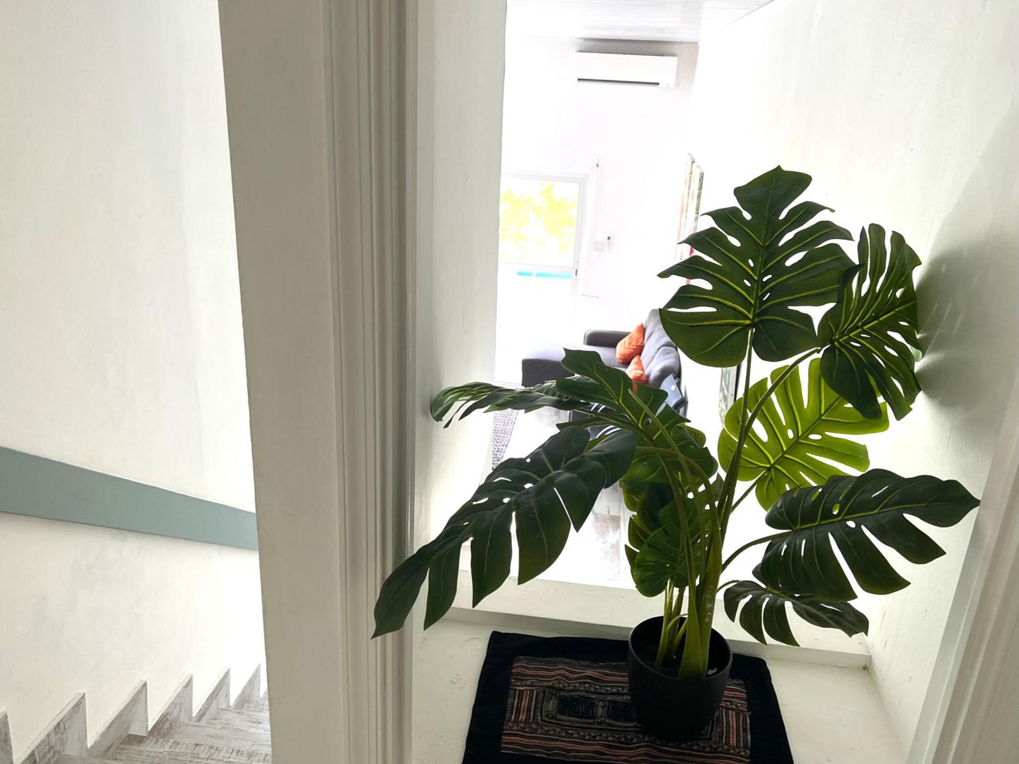 Appartement Neuf En Plein Coeur De Philipsburg Philipsburg  Eksteriør billede